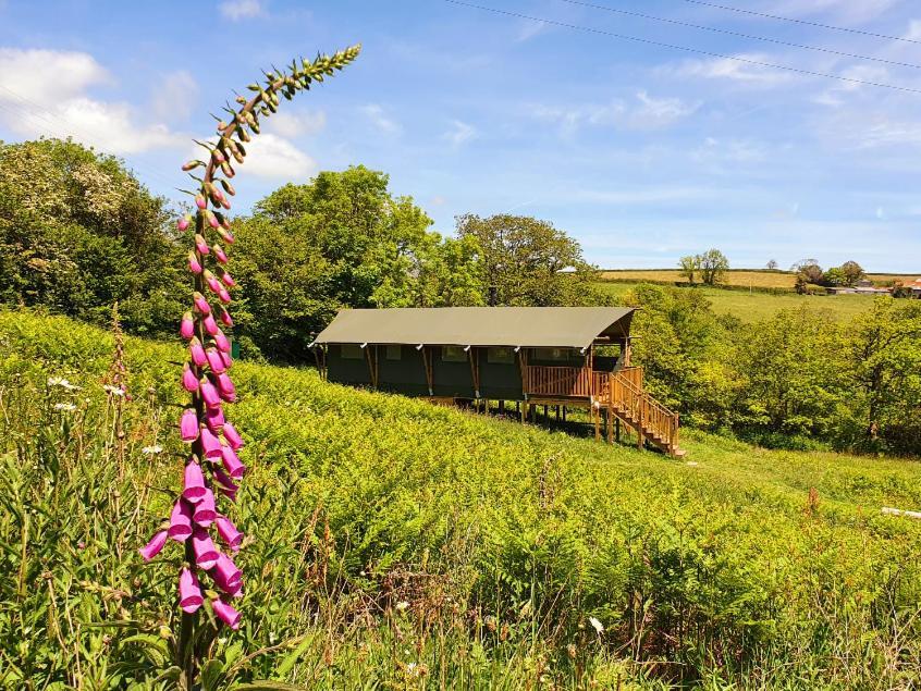 Brackenhill Glamping - Safari Tent With Hot Tub - Sleeps 6 아이비브리지 외부 사진